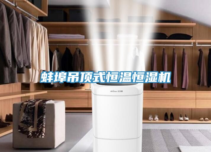 蚌埠吊顶式恒温恒湿机