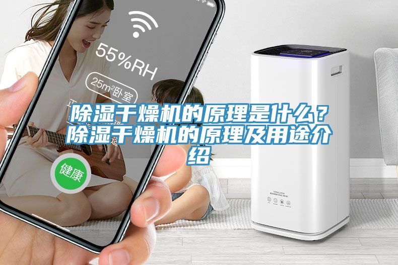 除湿干燥机的原理是什么？除湿干燥机的原理及用途介绍