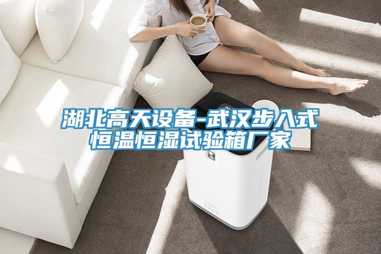 湖北高天设备-武汉步入式恒温恒湿试验箱厂家