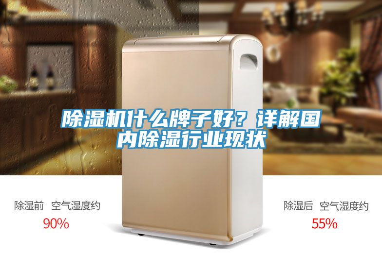 除湿机什么牌子好？详解国内除湿行业现状