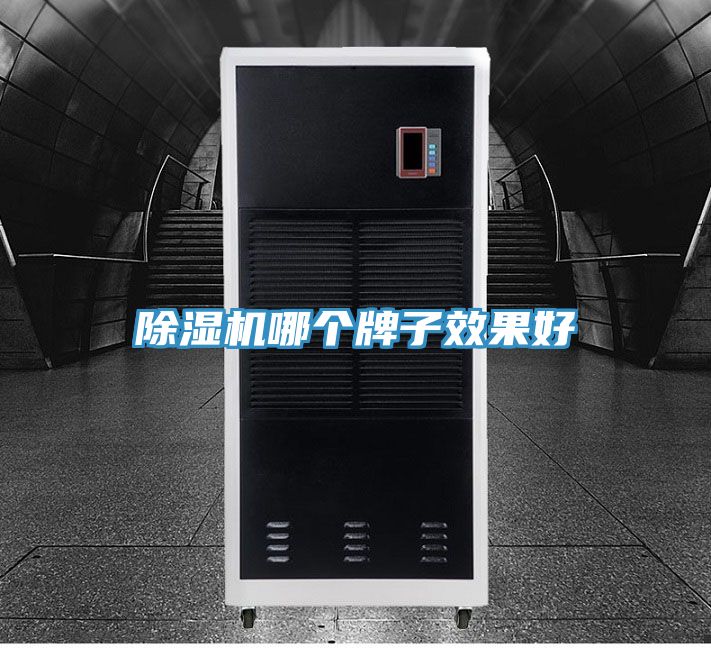 除湿机哪个牌子效果好