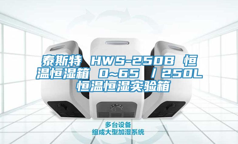 泰斯特 HWS-250B 恒温恒湿箱 0~65℃／250L 恒温恒湿实验箱