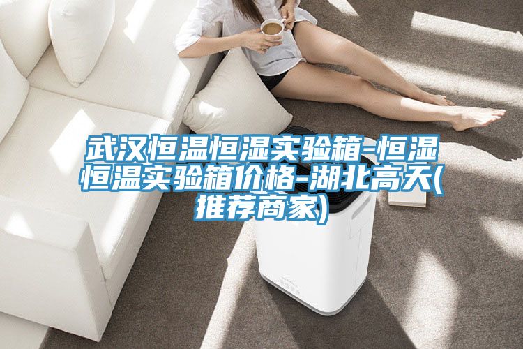 武汉恒温恒湿实验箱-恒湿恒温实验箱价格-湖北高天(推荐商家)