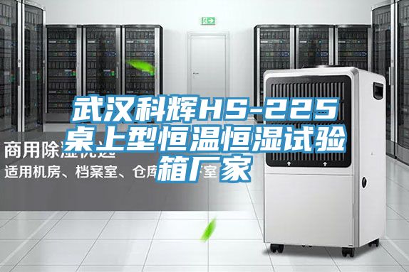 武汉科辉HS-225桌上型恒温恒湿试验箱厂家