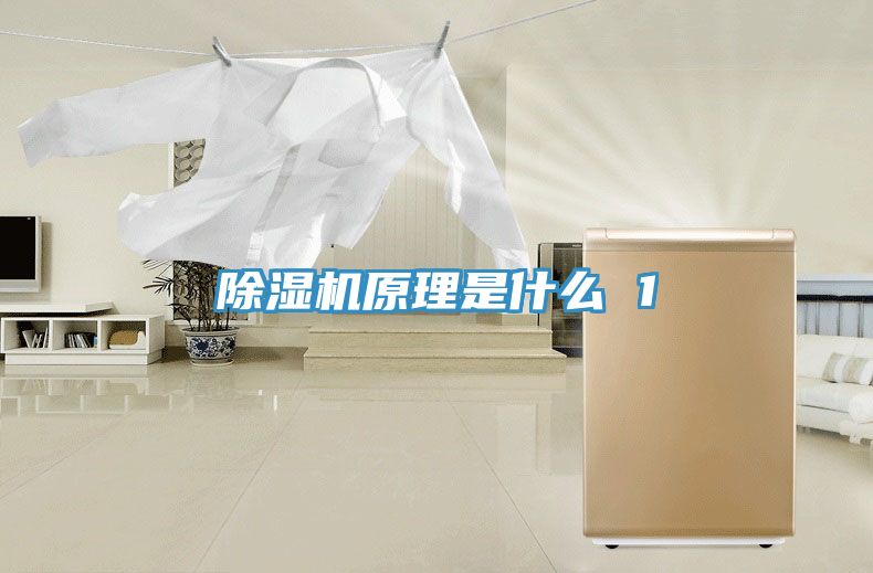 除湿机原理是什么 1