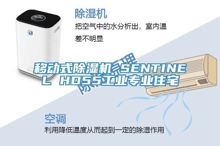 移动式除湿机 SENTINEL HD55工业专业住宅