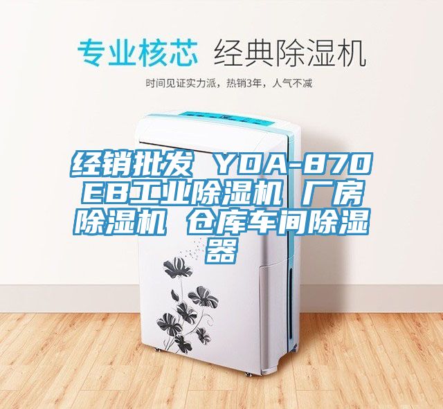 经销批发 YDA-870EB工业除湿机 厂房除湿机 仓库车间除湿器