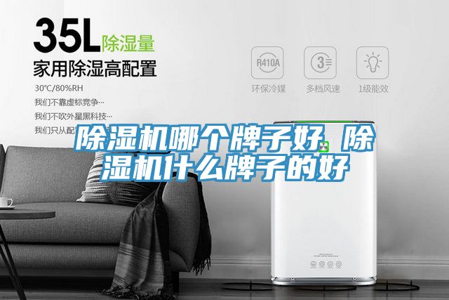 除湿机哪个牌子好 除湿机什么牌子的好