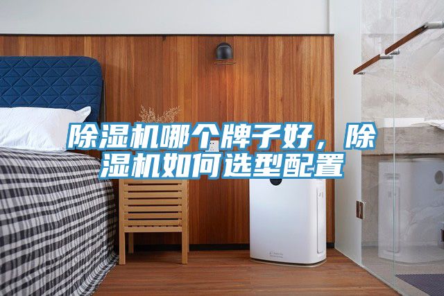 除湿机哪个牌子好，除湿机如何选型配置