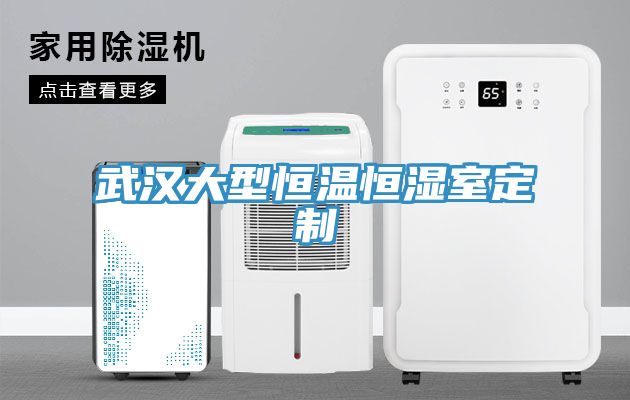 武汉大型恒温恒湿室定制
