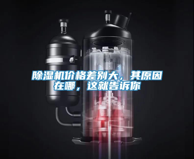 除湿机价格差别大，其原因在哪，这就告诉你