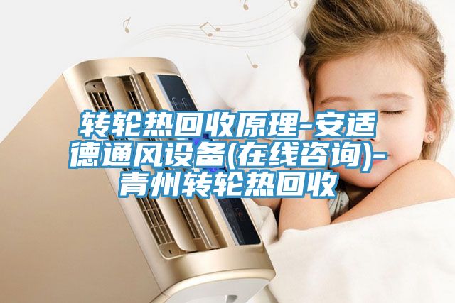 转轮热回收原理-安适德通风设备(在线咨询)-青州转轮热回收
