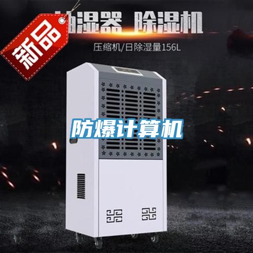 防爆计算机