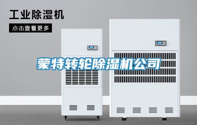 蒙特转轮除湿机公司