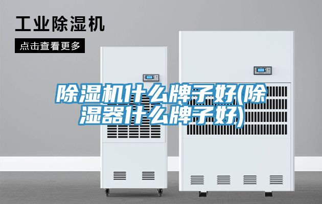 除湿机什么牌子好(除湿器什么牌子好)