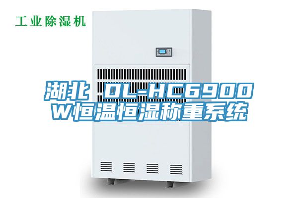 湖北 DL-HC6900W恒温恒湿称重系统