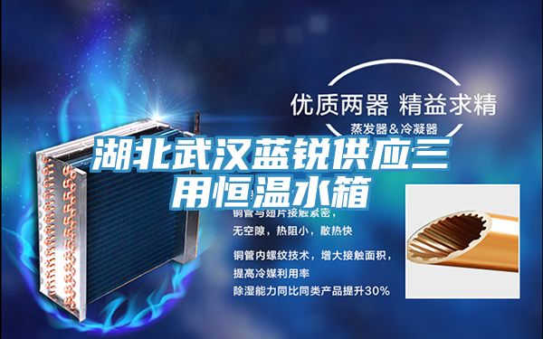 湖北武汉蓝锐供应三用恒温水箱