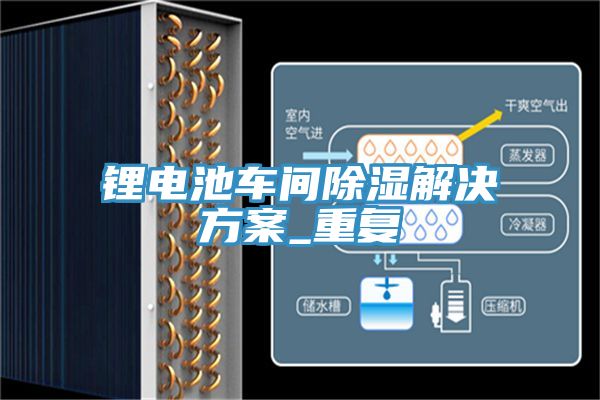 锂电池车间除湿解决方案_重复