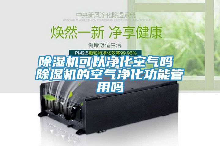 除湿机可以净化空气吗 除湿机的空气净化功能管用吗