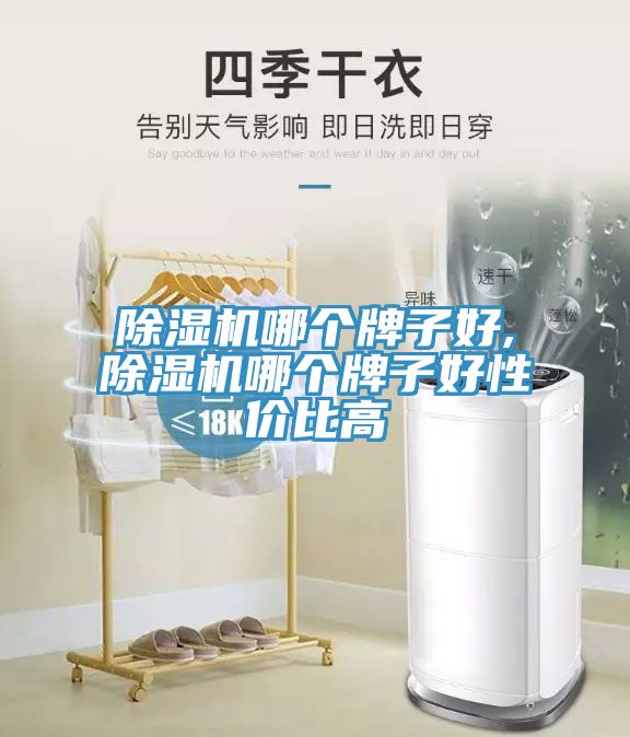 除湿机哪个牌子好,除湿机哪个牌子好性价比高