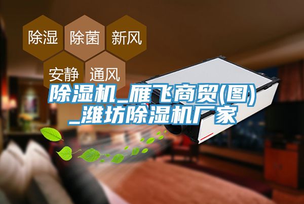 除湿机_雁飞商贸(图)_潍坊除湿机厂家