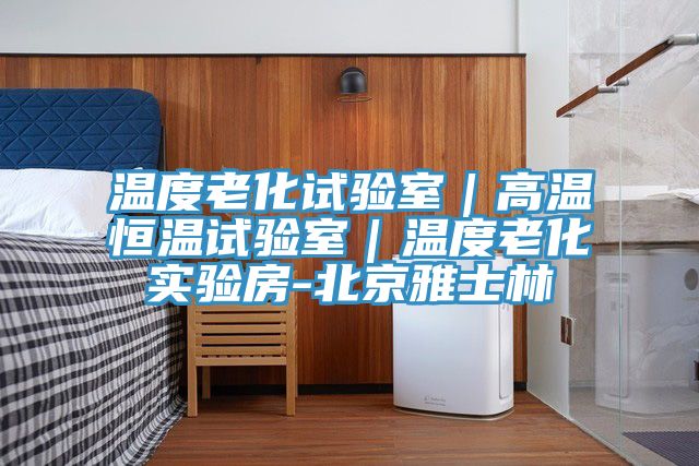 温度老化试验室｜高温恒温试验室｜温度老化实验房-北京雅士林