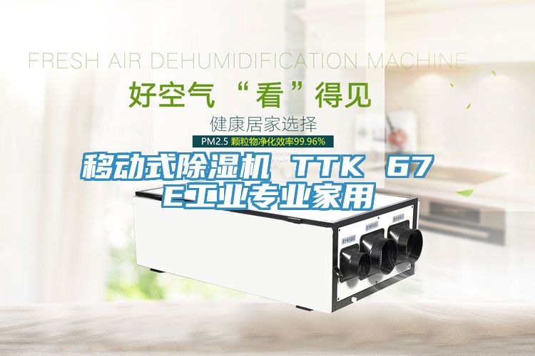 移动式除湿机 TTK 67 E工业专业家用