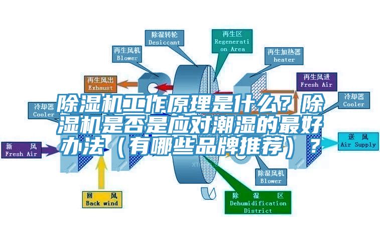 除湿机工作原理是什么？除湿机是否是应对潮湿的最好办法（有哪些品牌推荐）？