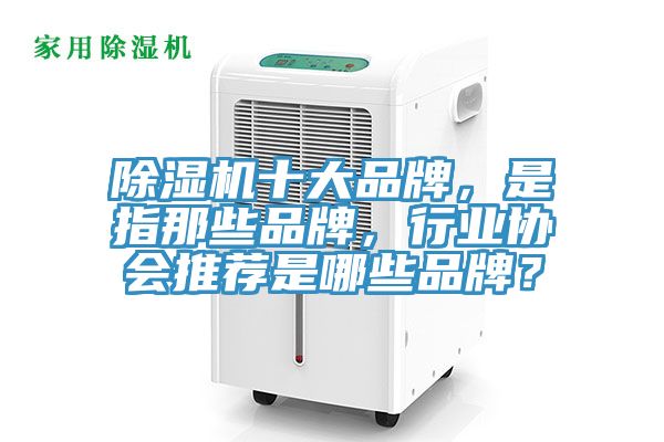 除湿机十大品牌，是指那些品牌，行业协会推荐是哪些品牌？
