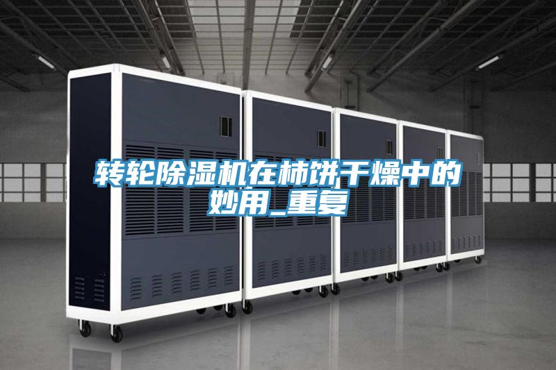 转轮除湿机在柿饼干燥中的妙用_重复