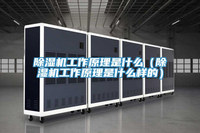 除湿机工作原理是什么（除湿机工作原理是什么样的）