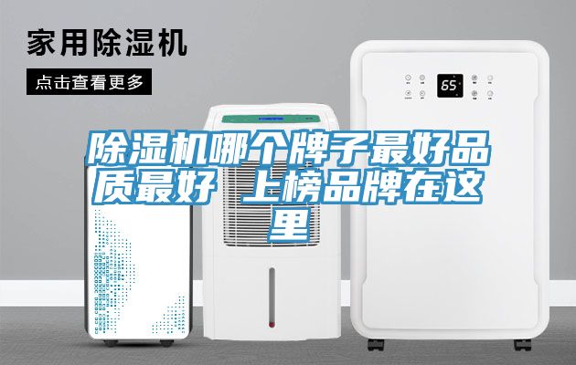 除湿机哪个牌子最好品质最好 上榜品牌在这里