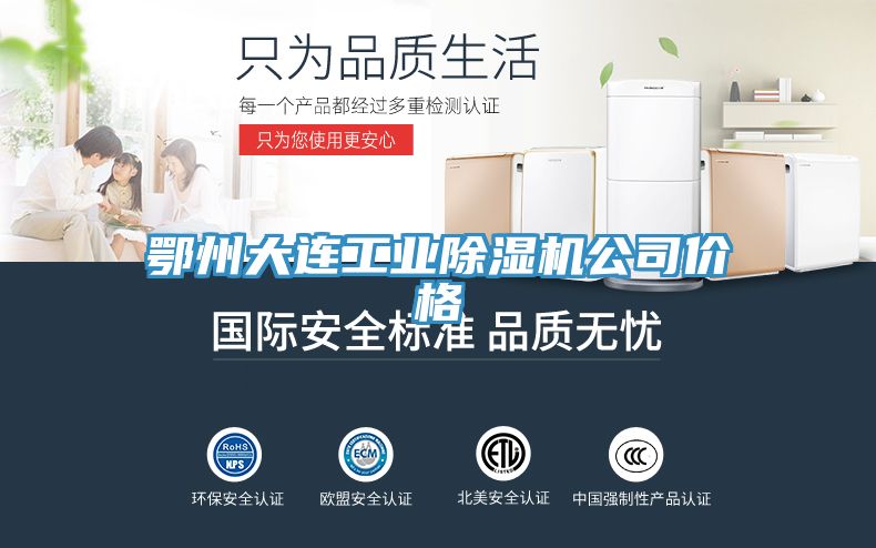 鄂州大连工业除湿机公司价格