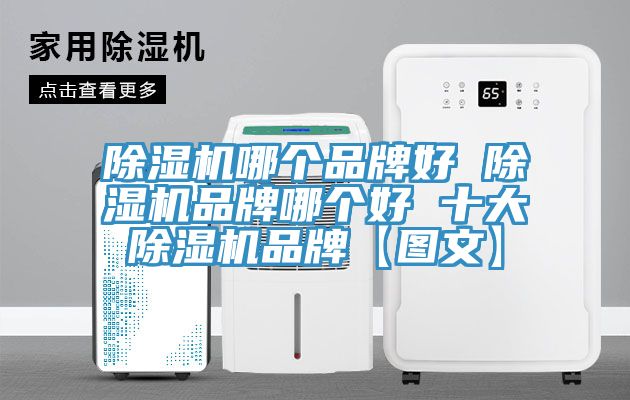 除湿机哪个品牌好 除湿机品牌哪个好 十大除湿机品牌【图文】