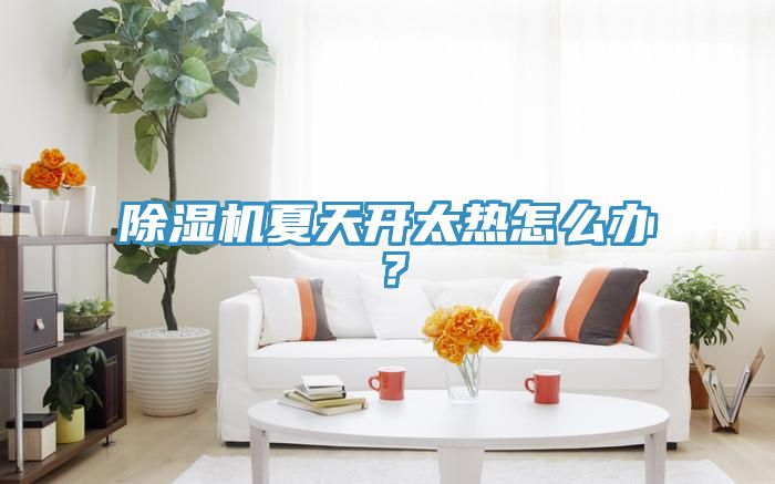 除湿机夏天开太热怎么办？
