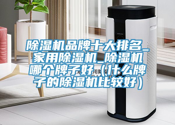 除湿机品牌十大排名_家用除湿机_除湿机哪个牌子好（什么牌子的除湿机比较好）