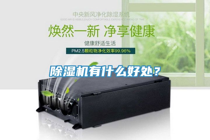 除湿机有什么好处？