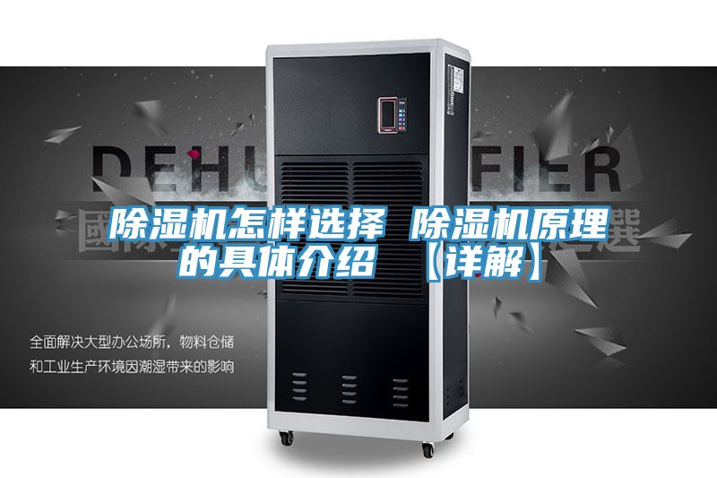 除湿机怎样选择 除湿机原理的具体介绍 【详解】