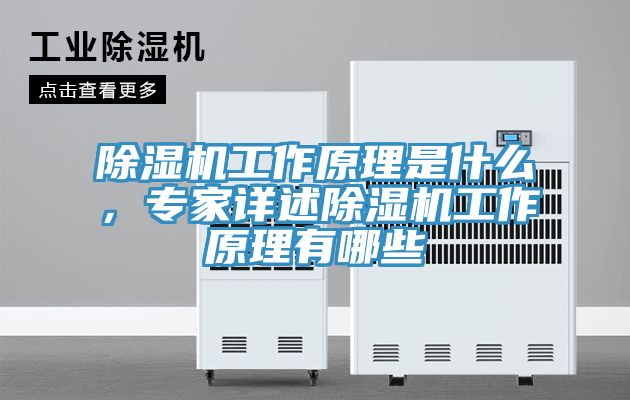 除湿机工作原理是什么，专家详述除湿机工作原理有哪些