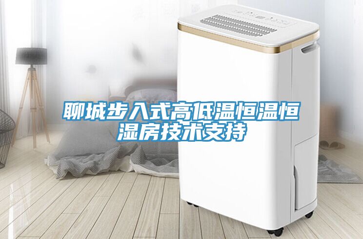 聊城步入式高低温恒温恒湿房技术支持