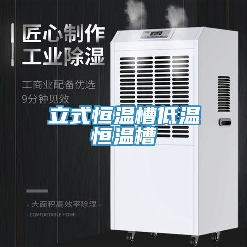 立式恒温槽低温恒温槽
