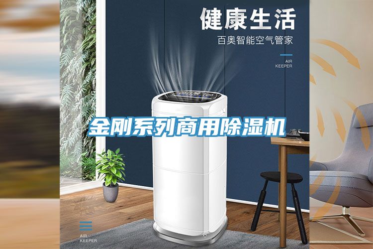 金刚系列商用除湿机