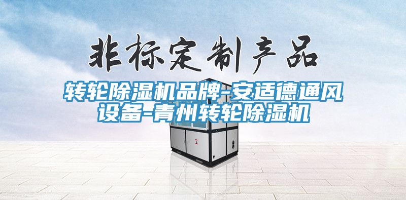 转轮除湿机品牌-安适德通风设备-青州转轮除湿机