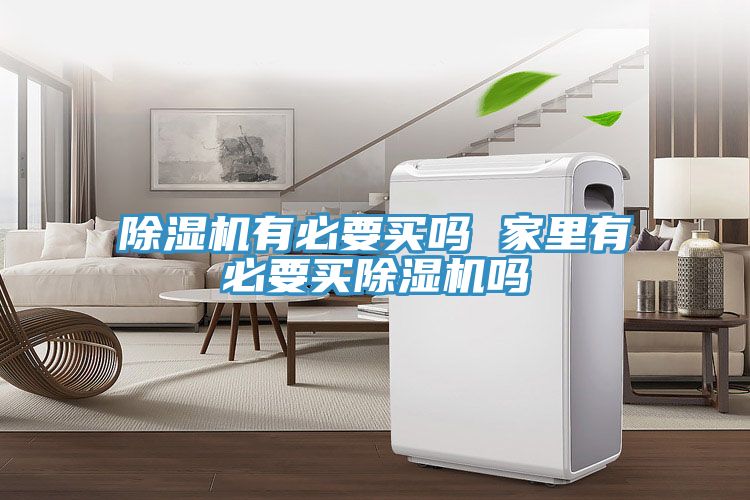 除湿机有必要买吗 家里有必要买除湿机吗