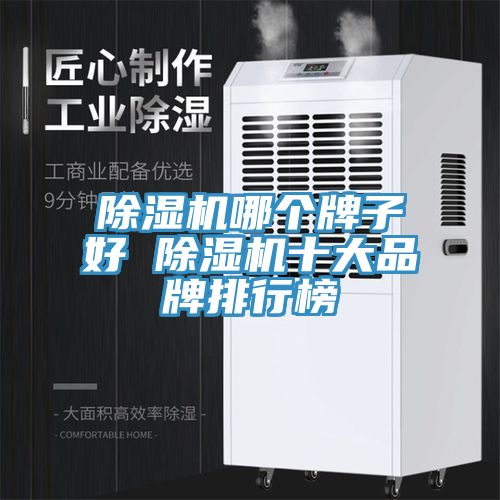 除湿机哪个牌子好 除湿机十大品牌排行榜