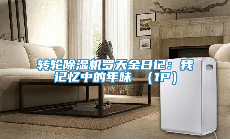 转轮除湿机罗天金日记：我记忆中的年味 （1P）