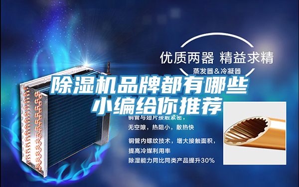 除湿机品牌都有哪些 小编给你推荐