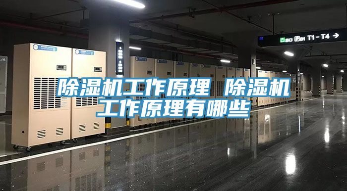 除湿机工作原理 除湿机工作原理有哪些