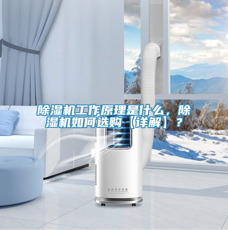 除湿机工作原理是什么，除湿机如何选购【详解】？