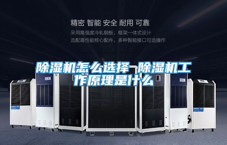除湿机怎么选择 除湿机工作原理是什么
